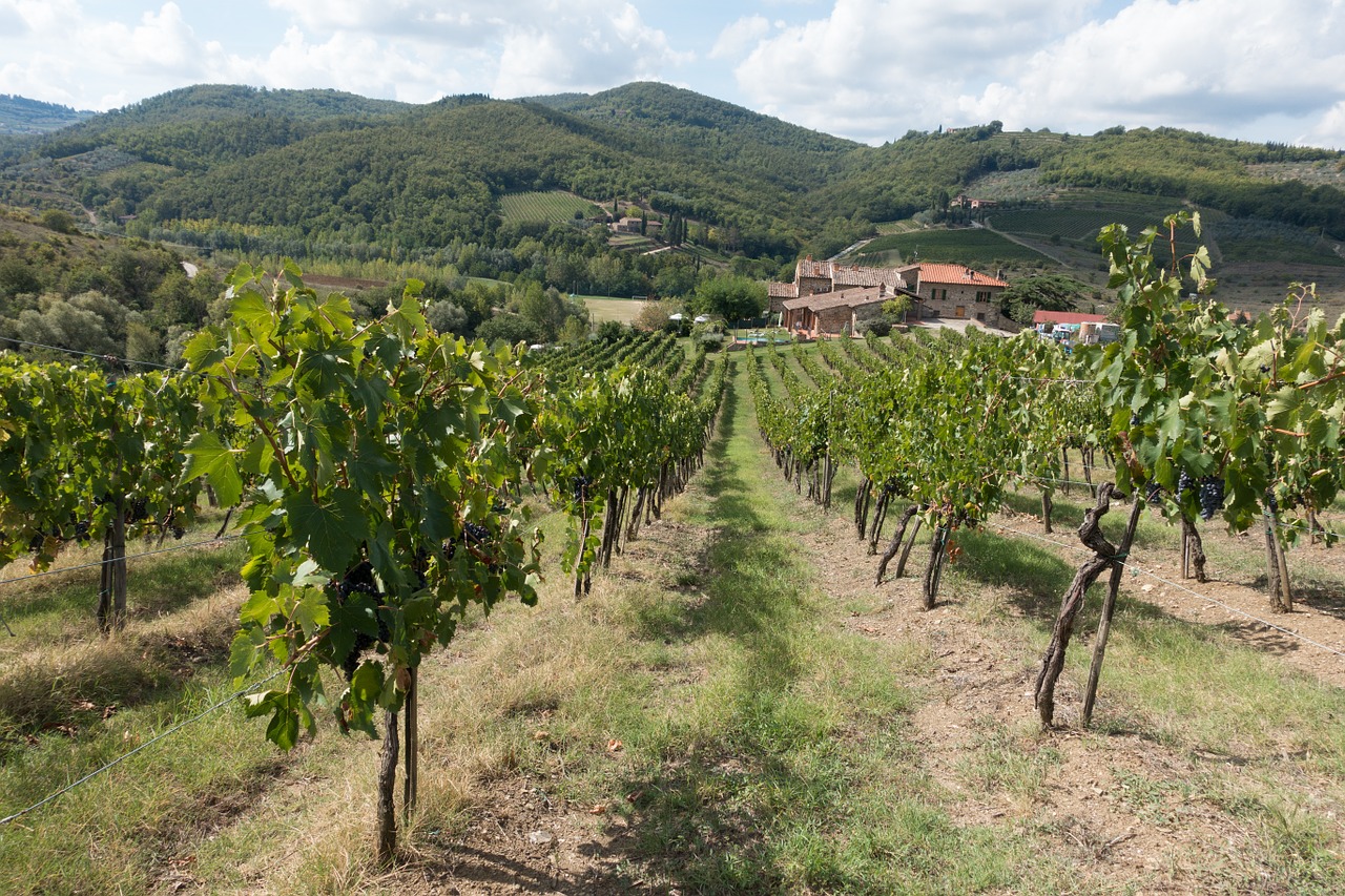 De beroemde wijnstreek Chianti mag niet ontbreken op je wijnreis door Italië