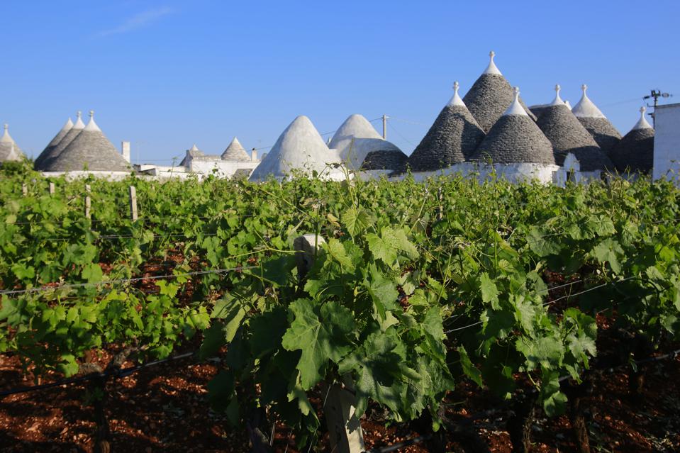 Puglia produceert volle wijnen in een romantische omgeving
