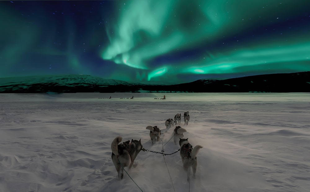 In Lapland is het een ultieme ervaring om achter de husky's rond te toeren op zoek naar het Noorderlicht