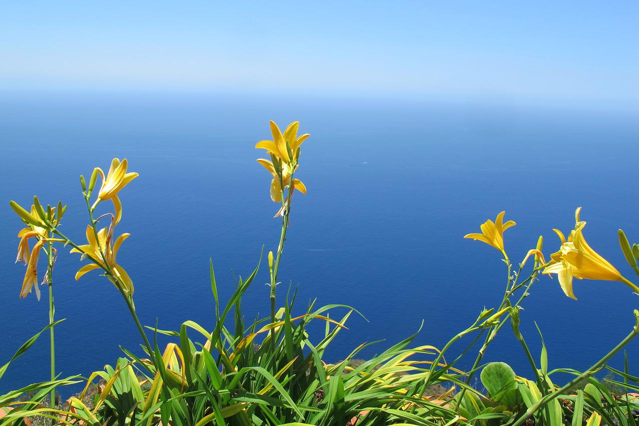 Wanneer ga jij naar bloemeneiland Madeira?