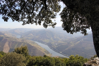 Natuur volop tijdens je Portugal rondreis