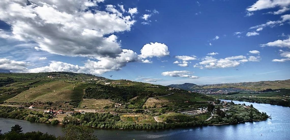 Delfim Douro wat een uitzicht over de Douro