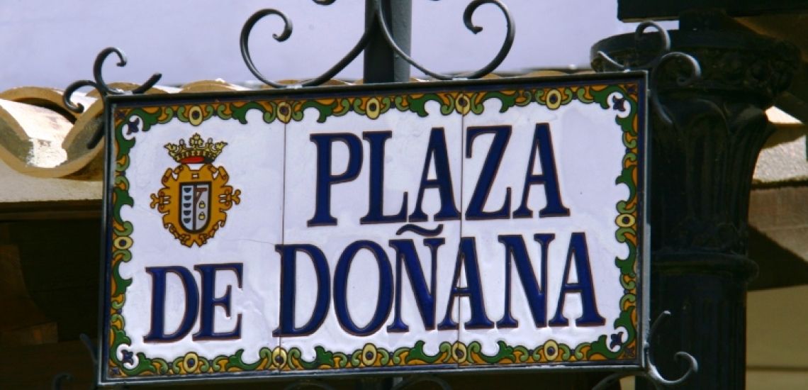 Lince aan de plaza de donana