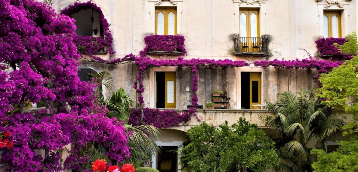 Palazzo Murat facade met bloemen