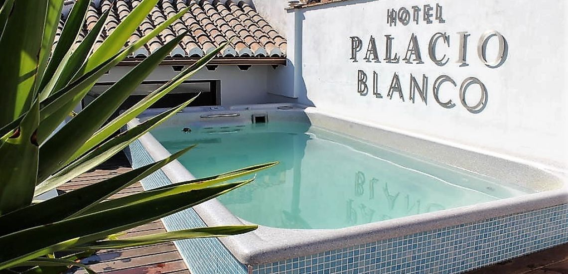Palacio Blanco plunge pool