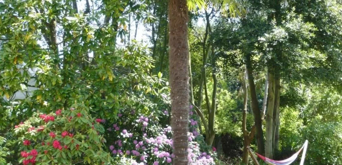 De uitbundig bloeiende tuin van Villa Saint-Raphaël