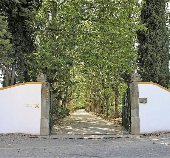Quinta da Pacheca entree met bomen