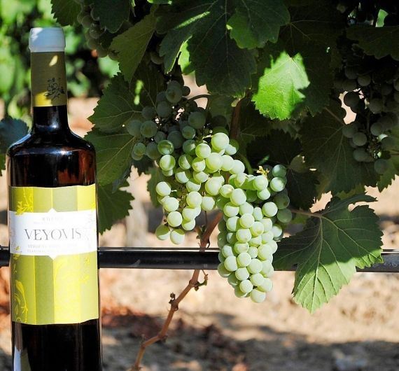 Tijdens deze culinaire wijnreis door Spanje ga je zeker wijnen proeven in de Rueda