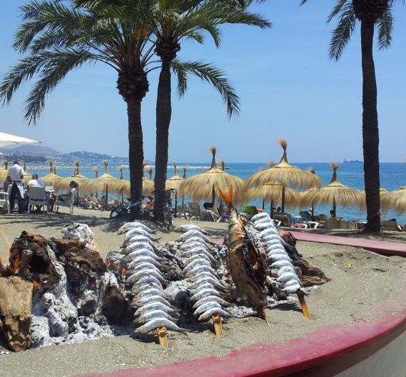 Als afsluiting van je West Andalusië rondreis verse sardientjes eten op het strand
