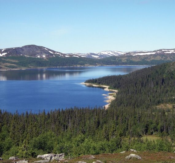 Hälsingland is een paradijs voor wandelaars en mountainbikers