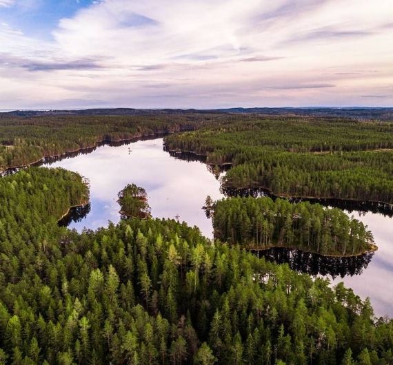 Tijdens je rondreis door midden Zweden bezoek je tevens de oerbossen van Tiveden NP