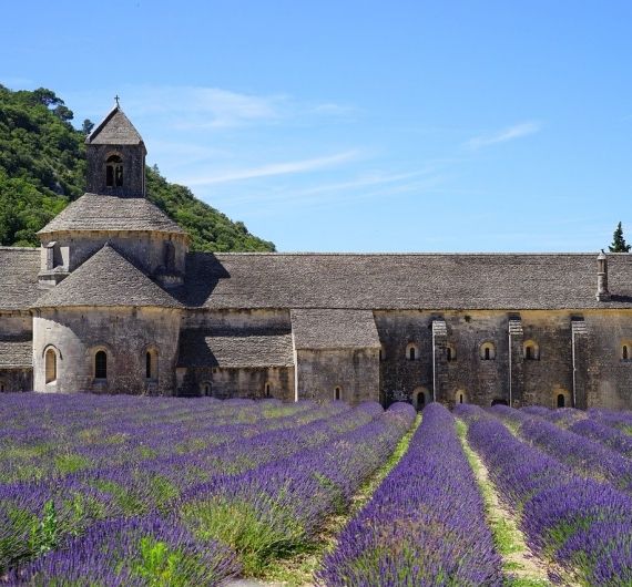 Frankrijk is ook beroemd om de geurende lavendelvelden