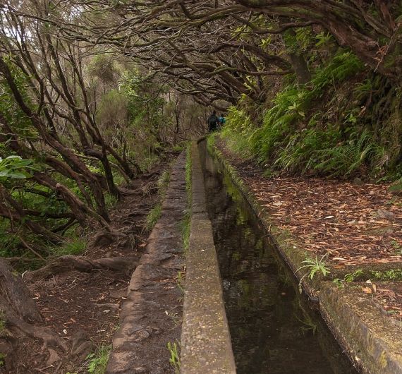 De Levada wandelingen zijn beroemd in het binnenland van Madeira