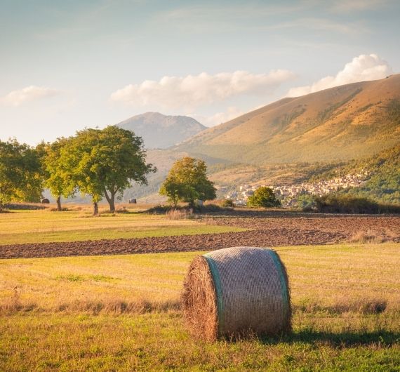 Ontdek het weidse landschap van Abruzzo tijdens deze rondreis