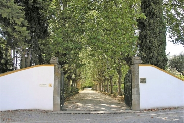 Quinta da Pacheca entree met bomen