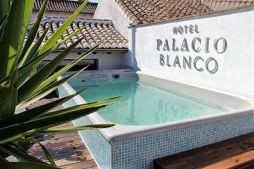 Palacio Blanco plunge pool