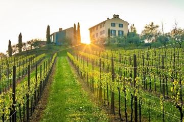 Relais d´Arfanta wijngaarden prosecco
