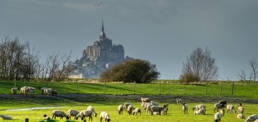 Mont Saint Michel is een van de vele hoogtepunten tijdens deze rondreis Normandië en Bretagne